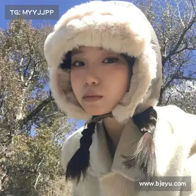 蔡能非